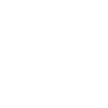 logo light