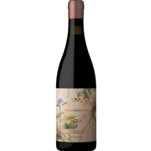 Waterleliefontein Syrah Grenache Noir Blend 2021