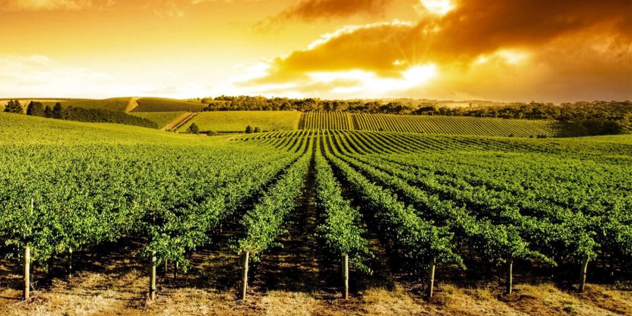 Blog-content-landscape-1