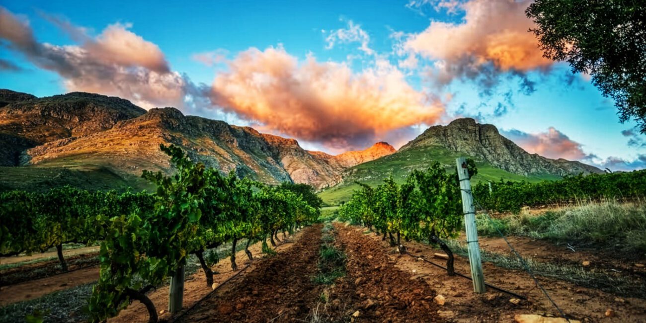 Blog-content-landscape-2