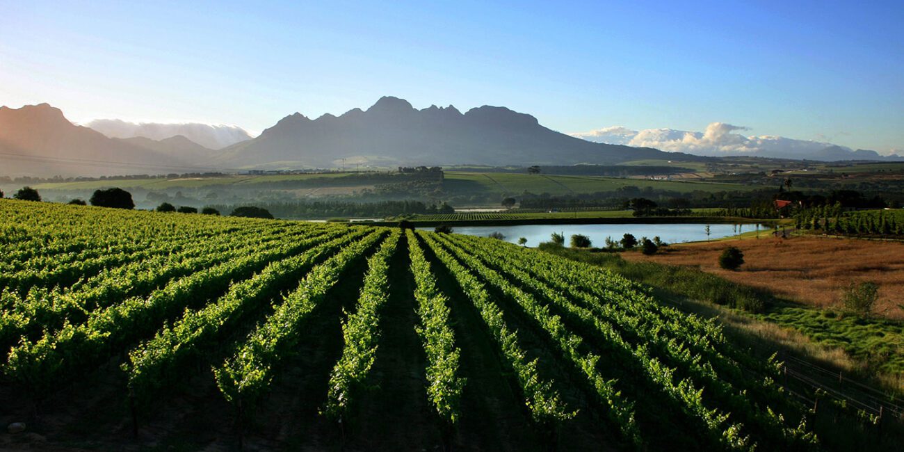 Blog-content-landscape-7